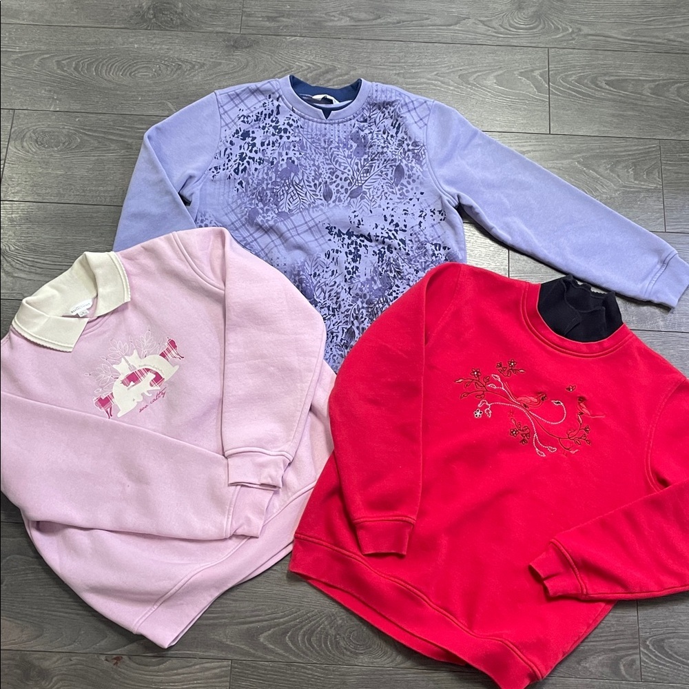 Northern Reflectins Colorful Sweatshirts size small
